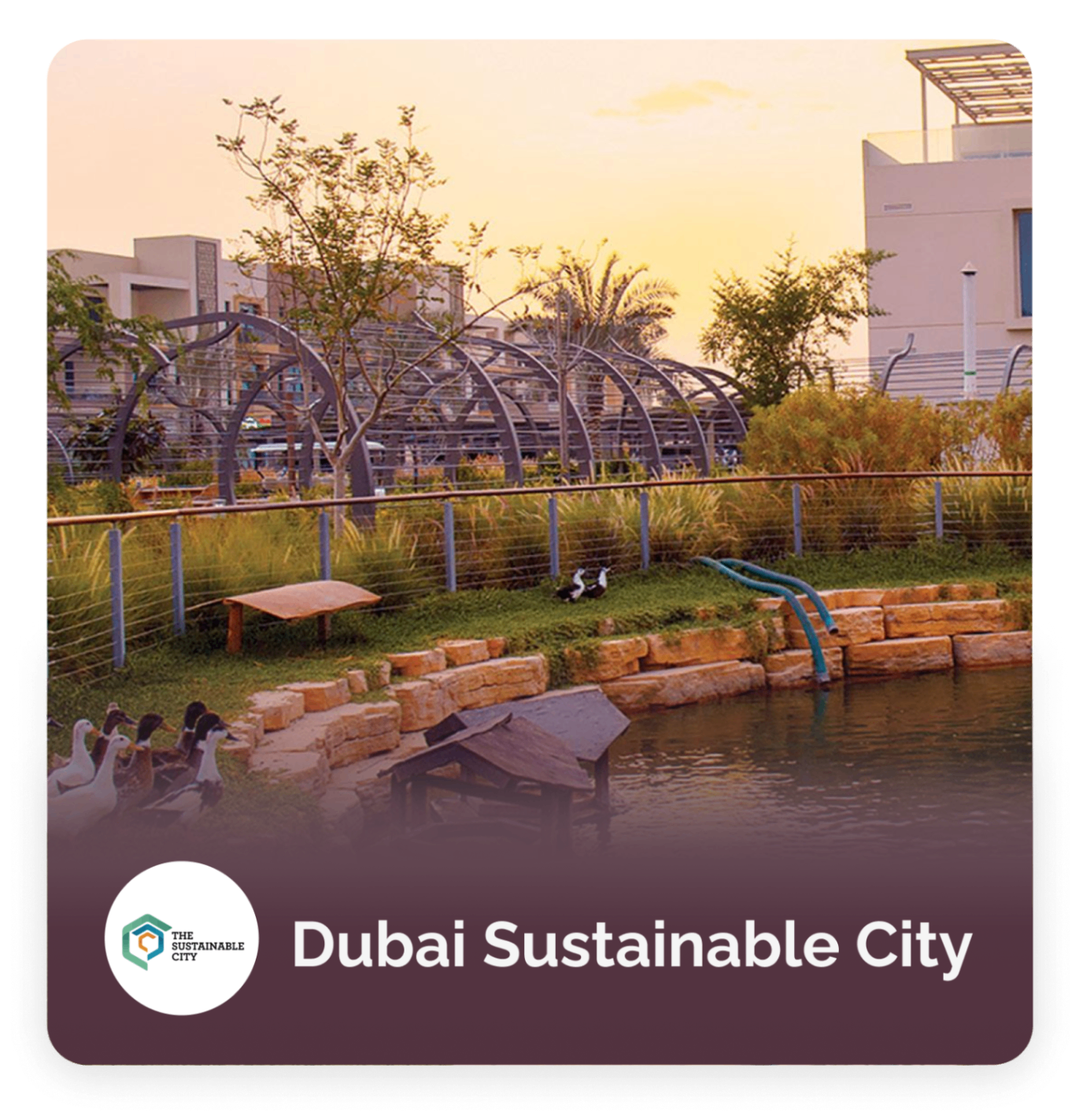 Dubai Sustainable City